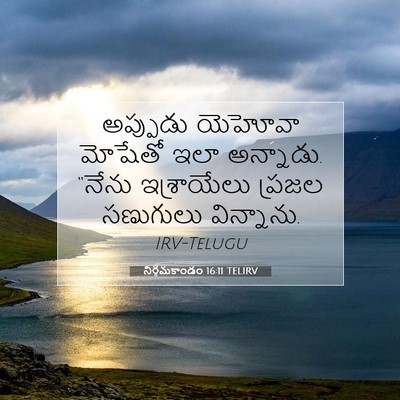 Picture 07 - నిర్గమకాండం 16:11 TELIRV - అప్పుడు యెహోవా - Bible Verse Picture