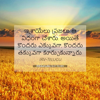 Picture 07 - నిర్గమకాండం 16:17 TELIRV - ఇశ్రాయేలు ప్రజలు - Bible Verse Picture