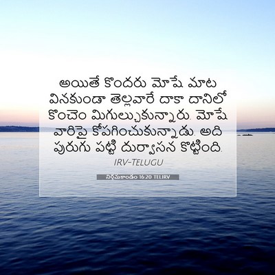 Picture 07 - నిర్గమకాండం 16:20 TELIRV - అయితే కొందరు మోషే - Bible Verse Picture