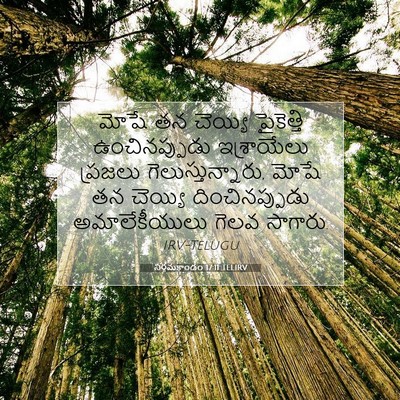Picture 07 - నిర్గమకాండం 17:11 TELIRV - మోషే తన చెయ్యి - Bible Verse Picture