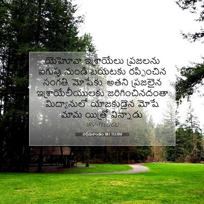 Picture 07 - నిర్గమకాండం 18:1 TELIRV - యెహోవా ఇశ్రాయేలు - Bible Verse Picture