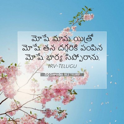 Picture 07 - నిర్గమకాండం 18:2 TELIRV - మోషే మామ యిత్రో - Bible Verse Picture