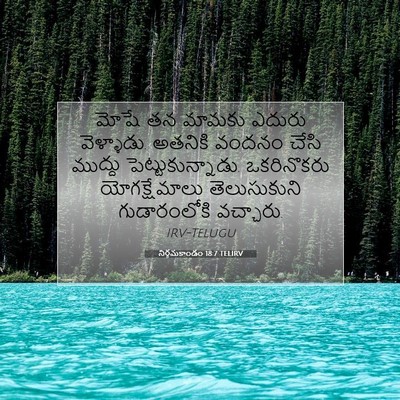 Picture 07 - నిర్గమకాండం 18:7 TELIRV - మోషే తన మామకు - Bible Verse Picture