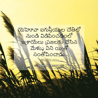 Picture 07 - నిర్గమకాండం 18:9 TELIRV - యెహోవా ఐగుప్తీయుల - Bible Verse Picture