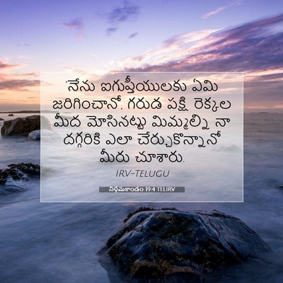 Picture 07 - నిర్గమకాండం 19:4 TELIRV - ‘నేను - Bible Verse Picture