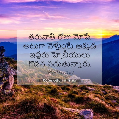 Picture 07 - నిర్గమకాండం 2:13 TELIRV - తరువాతి రోజు మోషే - Bible Verse Picture
