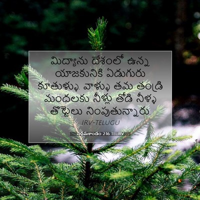 Picture 07 - నిర్గమకాండం 2:16 TELIRV - మిద్యాను దేశంలో - Bible Verse Picture
