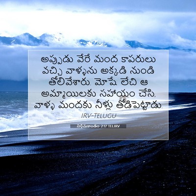 Picture 07 - నిర్గమకాండం 2:17 TELIRV - అప్పుడు వేరే మంద - Bible Verse Picture
