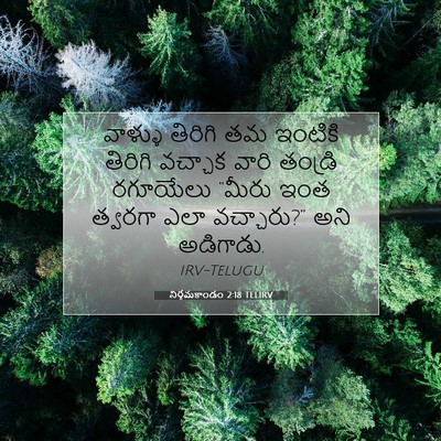 Picture 07 - నిర్గమకాండం 2:18 TELIRV - వాళ్ళు తిరిగి తమ - Bible Verse Picture