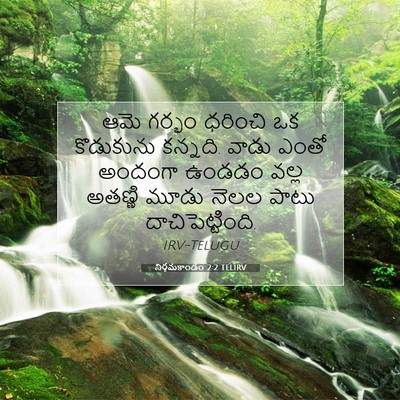 Picture 07 - నిర్గమకాండం 2:2 TELIRV - ఆమె గర్భం ధరించి - Bible Verse Picture