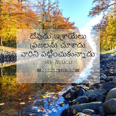 Picture 07 - నిర్గమకాండం 2:25 TELIRV - దేవుడు ఇశ్రాయేలు - Bible Verse Picture