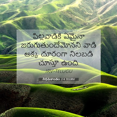 Picture 07 - నిర్గమకాండం 2:4 TELIRV - పిల్లవాడికి ఏమైనా - Bible Verse Picture