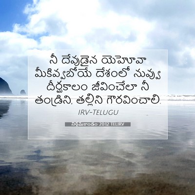 Picture 07 - నిర్గమకాండం 20:12 TELIRV - నీ దేవుడైన యెహోవా - Bible Verse Picture