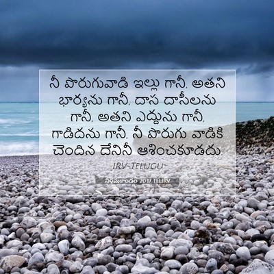 Picture 07 - నిర్గమకాండం 20:17 TELIRV - నీ పొరుగువాడి - Bible Verse Picture