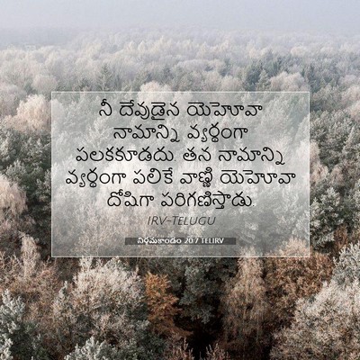 Picture 07 - నిర్గమకాండం 20:7 TELIRV - నీ దేవుడైన యెహోవా - Bible Verse Picture