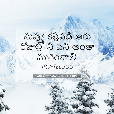 Picture 07 - నిర్గమకాండం 20:9 TELIRV - నువ్వు కష్టపడి - Bible Verse Picture