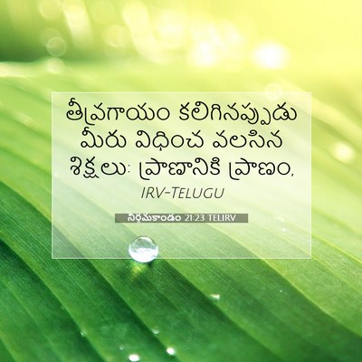 Picture 07 - నిర్గమకాండం 21:23 TELIRV - తీవ్రగాయం - Bible Verse Picture