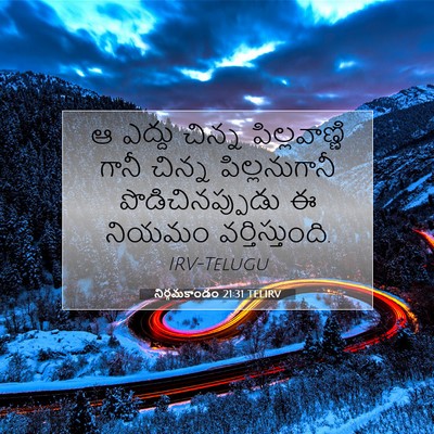 Picture 07 - నిర్గమకాండం 21:31 TELIRV - ఆ ఎద్దు చిన్న - Bible Verse Picture