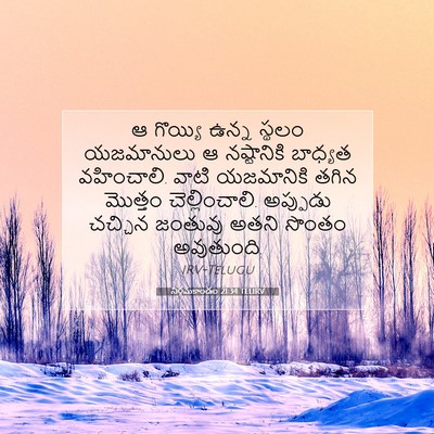 Picture 07 - నిర్గమకాండం 21:34 TELIRV - ఆ గొయ్యి ఉన్న - Bible Verse Picture
