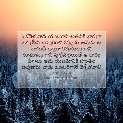Picture 07 - నిర్గమకాండం 21:4 TELIRV - ఒకవేళ వాడి యజమాని - Bible Verse Picture