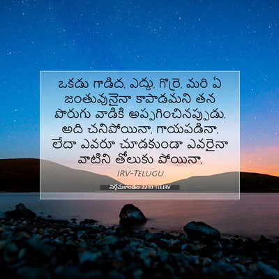 Picture 07 - నిర్గమకాండం 22:10 TELIRV - ఒకడు గాడిద, ఎద్దు, - Bible Verse Picture