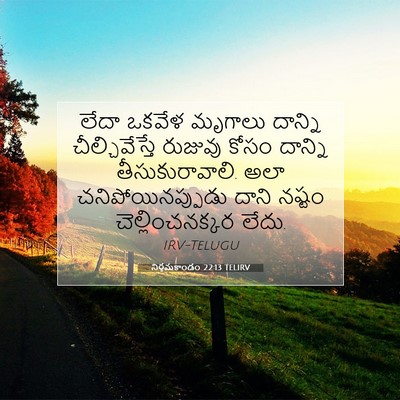Picture 07 - నిర్గమకాండం 22:13 TELIRV - లేదా ఒకవేళ మృగాలు - Bible Verse Picture