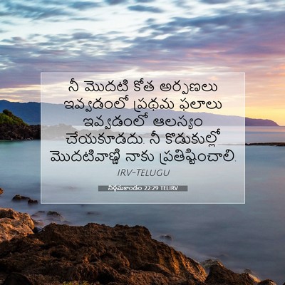 Picture 07 - నిర్గమకాండం 22:29 TELIRV - నీ మొదటి కోత - Bible Verse Picture