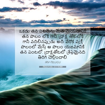 Picture 07 - నిర్గమకాండం 22:5 TELIRV - ఒకడు తన పశువును - Bible Verse Picture