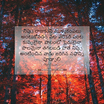 Picture 07 - నిర్గమకాండం 22:6 TELIRV - నిప్పు రాజుకుని - Bible Verse Picture