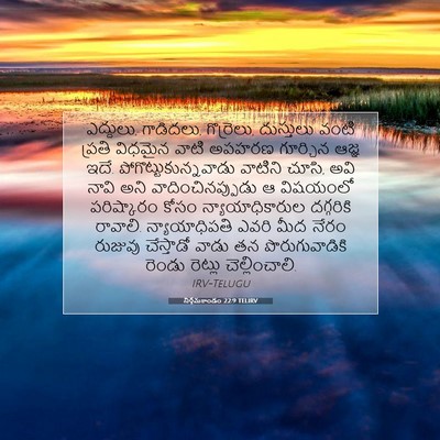Picture 07 - నిర్గమకాండం 22:9 TELIRV - ఎద్దులు, గాడిదలు, - Bible Verse Picture