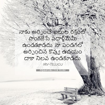 Picture 07 - నిర్గమకాండం 23:18 TELIRV - నాకు అర్పించే - Bible Verse Picture