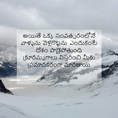 Picture 07 - నిర్గమకాండం 23:29 TELIRV - అయితే ఒక్క - Bible Verse Picture