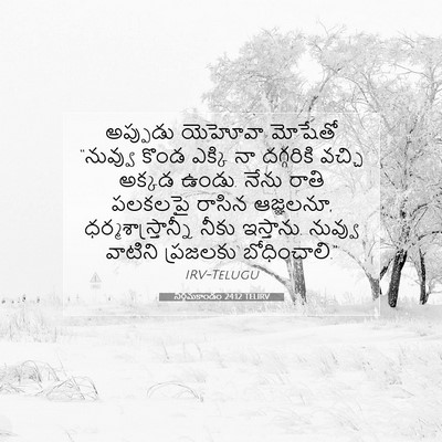 Picture 07 - నిర్గమకాండం 24:12 TELIRV - అప్పుడు యెహోవా - Bible Verse Picture