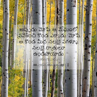 Picture 07 - నిర్గమకాండం 24:18 TELIRV - అప్పుడు మోషే ఆ - Bible Verse Picture