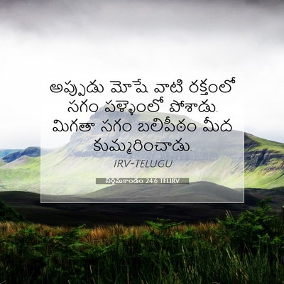 Picture 07 - నిర్గమకాండం 24:6 TELIRV - అప్పుడు మోషే వాటి - Bible Verse Picture