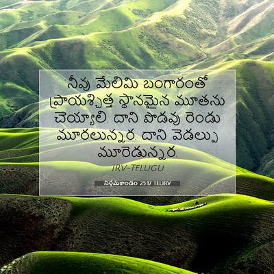 Picture 07 - నిర్గమకాండం 25:17 TELIRV - నీవు మేలిమి - Bible Verse Picture