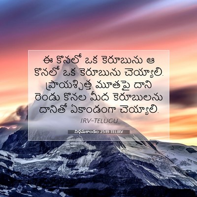 Picture 07 - నిర్గమకాండం 25:19 TELIRV - ఈ కొనలో ఒక - Bible Verse Picture