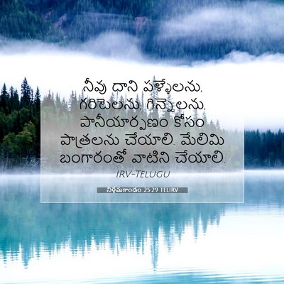 Picture 07 - నిర్గమకాండం 25:29 TELIRV - నీవు దాని - Bible Verse Picture
