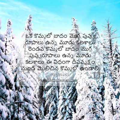 Picture 07 - నిర్గమకాండం 25:33 TELIRV - ఒక కొమ్మలో బాదం - Bible Verse Picture