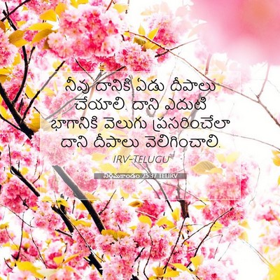 Picture 07 - నిర్గమకాండం 25:37 TELIRV - నీవు దానికి ఏడు - Bible Verse Picture