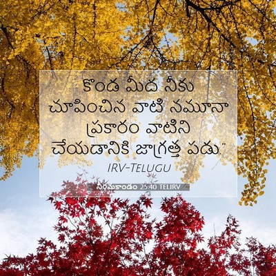 Picture 07 - నిర్గమకాండం 25:40 TELIRV - కొండ మీద నీకు - Bible Verse Picture