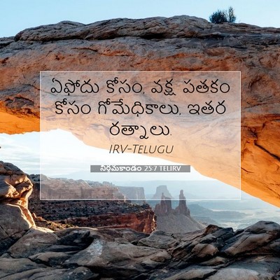 Picture 07 - నిర్గమకాండం 25:7 TELIRV - ఏఫోదు కోసం, వక్ష - Bible Verse Picture