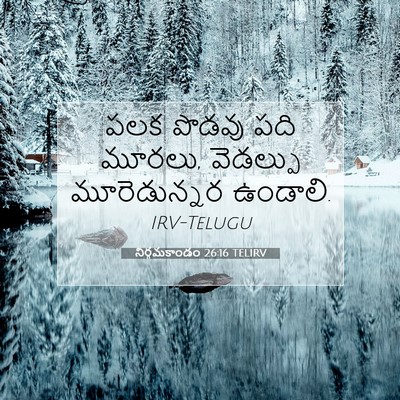 Picture 07 - నిర్గమకాండం 26:16 TELIRV - పలక పొడవు పది - Bible Verse Picture