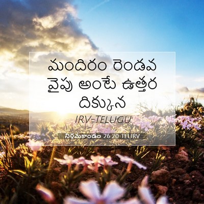 Picture 07 - నిర్గమకాండం 26:20 TELIRV - మందిరం రెండవ వైపు - Bible Verse Picture