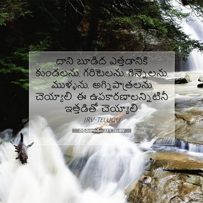 Picture 07 - నిర్గమకాండం 27:3 TELIRV - దాని బూడిద - Bible Verse Picture