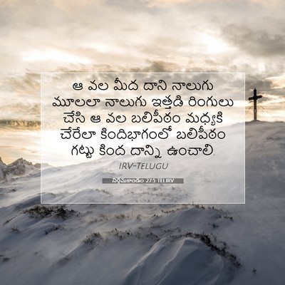 Picture 07 - నిర్గమకాండం 27:5 TELIRV - ఆ వల మీద దాని - Bible Verse Picture