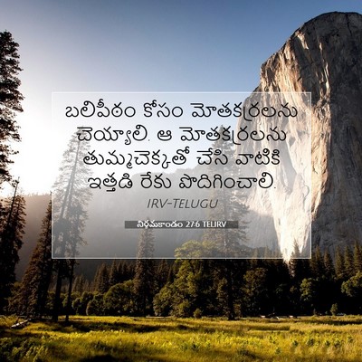 Picture 07 - నిర్గమకాండం 27:6 TELIRV - బలిపీఠం కోసం - Bible Verse Picture