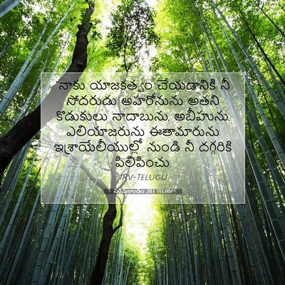 Picture 07 - నిర్గమకాండం 28:1 TELIRV - “నాకు యాజకత్వం - Bible Verse Picture