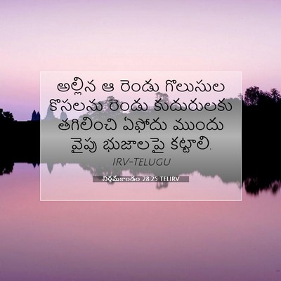 Picture 07 - నిర్గమకాండం 28:25 TELIRV - అల్లిన ఆ రెండు - Bible Verse Picture