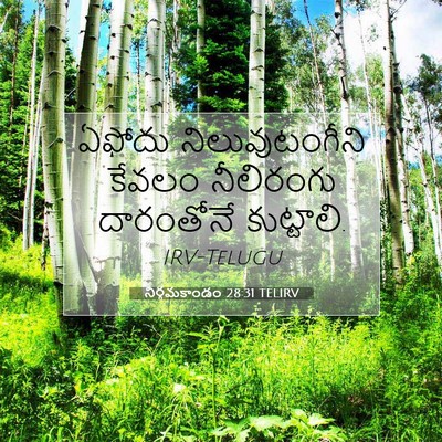 Picture 07 - నిర్గమకాండం 28:31 TELIRV - ఏఫోదు - Bible Verse Picture
